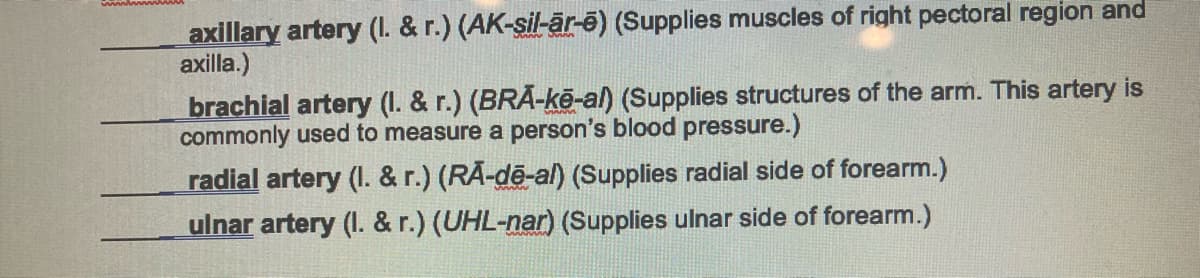 axillary artery (I. & r.) (AK-sil-är-ē) (Supplies muscles of right pectoral region and
axilla.)
brachial artery (I. & r.) (BRÃ-kē-al) (Supplies structures of the arm. This artery is
commonly used to measure a person's blood pressure.)
radial artery (l. & r.) (RÃ-de-al) (Supplies radial side of forearm.)
ulnar artery (I. & r.) (UHL-nar) (Supplies ulnar side of forearm.)