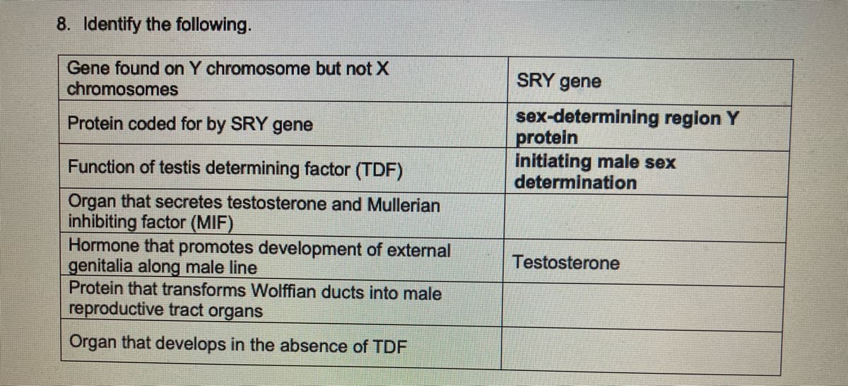 8. Identify the following.
Gene found on Y chromosome but not X
chromosomes
Protein coded for by SRY gene
Function of testis determining factor (TDF)
Organ that secretes testosterone and Mullerian
inhibiting factor (MIF)
Hormone that promotes development of external
genitalia along male line
Protein that transforms Wolffian ducts into male
reproductive tract organs
Organ that develops in the absence of TDF
SRY gene
sex-determining region Y
protein
initiating male sex
determination
Testosterone