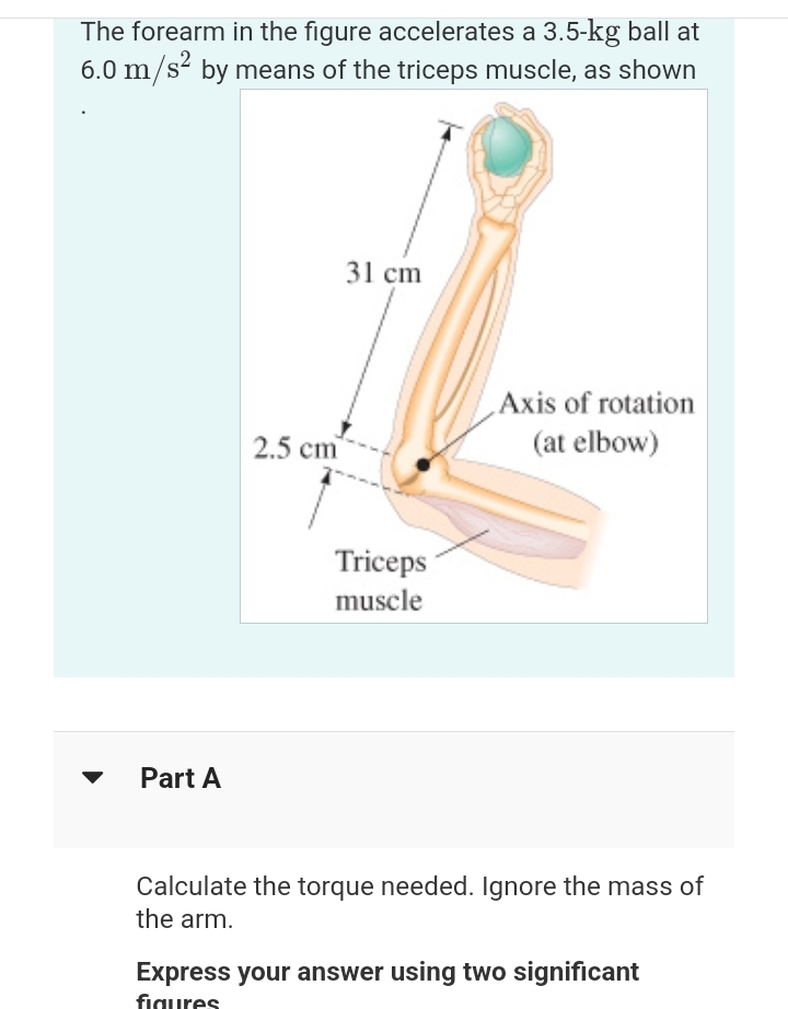 The forearm in the figure accelerates a 3.5-kg ball at
6.0 m/s² by means of the triceps muscle, as shown
Part A
2.5 cm
31 cm
Triceps
muscle
Axis of rotation
(at elbow)
Calculate the torque needed. Ignore the mass of
the arm.
Express your answer using two significant
figures