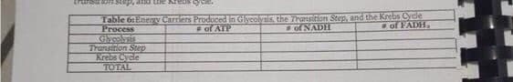 transition step, and the Krebs cycle.
Table of Energy Carriers Produced in Glycolysis, the Transition Step, and the Krebs Cycle
of FADH,
of NADH
Process
of ATP
Glycolysis
Transition Step
Krebs Cycle
TOTAL