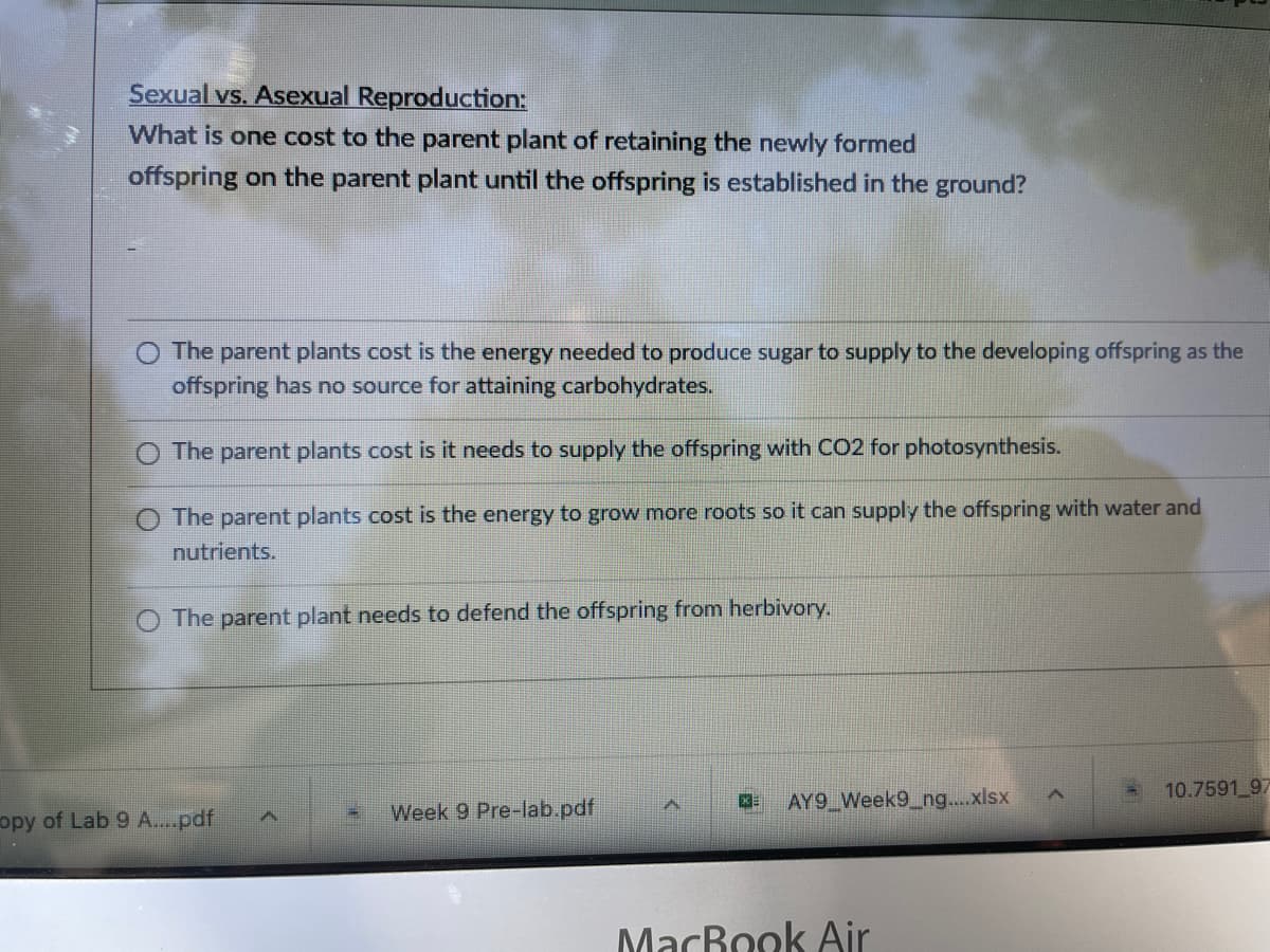 Sexual vs. Asexual Reproduction:
What is one cost to the parent plant of retaining the newly formed
offspring on the parent plant until the offspring is established in the ground?
The parent plants cost is the energy needed to produce sugar to supply to the developing offspring as the
offspring has no source for attaining carbohydrates.
The parent plants cost is it needs to supply the offspring with CO2 for photosynthesis.
The parent plants cost is the energy to grow more roots so it can supply the offspring with water and
nutrients.
The parent plant needs to defend the offspring from herbivory.
X=
A
A
10.7591 97
AY9 Week9_ng....xlsx
A
Week 9 Pre-lab.pdf
MacBook Air
opy of Lab 9 A....pdf