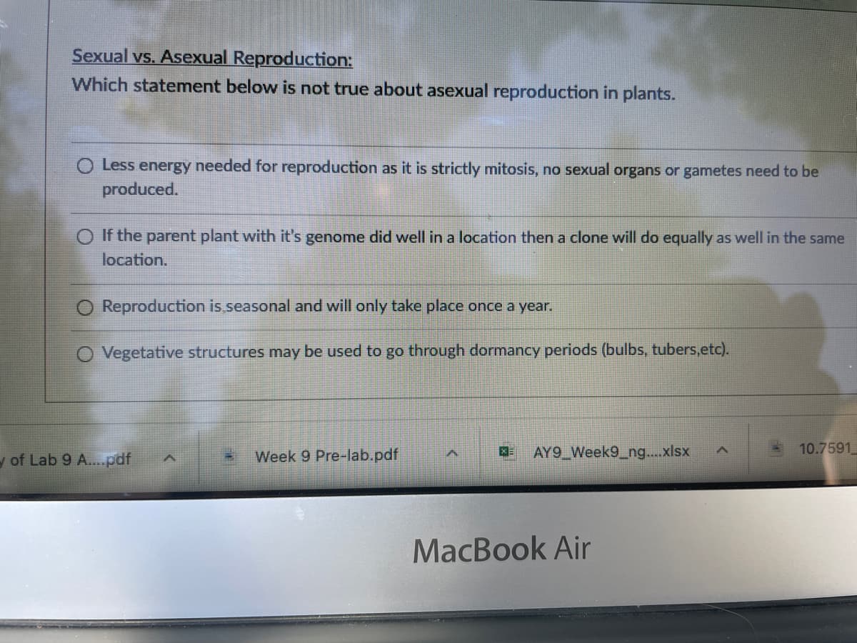 Sexual vs. Asexual Reproduction:
Which statement below is not true about asexual reproduction in plants.
Less energy needed for reproduction as it is strictly mitosis, no sexual organs or gametes need to be
produced.
O If the parent plant with it's genome did well in a location then a clone will do equally as well in the same
location.
Reproduction is seasonal and will only take place once a year.
O Vegetative structures may be used to go through dormancy periods (bulbs, tubers,etc).
X=
A
A
AY9 Week9_ng....xlsx
Week 9 Pre-lab.pdf
10.7591
A
MacBook Air
y of Lab 9 A....pdf