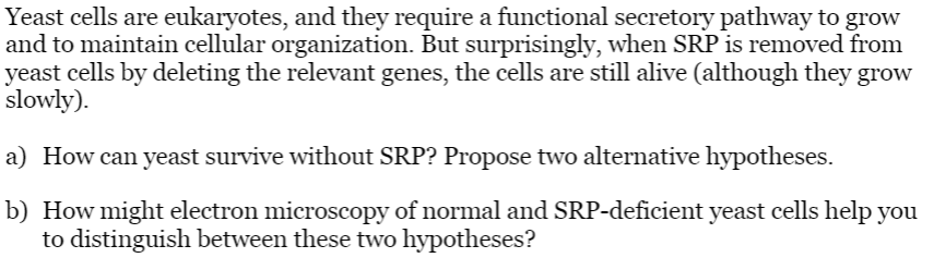 Yeast cells are eukaryotes, and they require a functional secretory pathway to grow
and to maintain cellular organization. But surprisingly, when SRP is removed from
yeast cells by deleting the relevant genes, the cells are still alive (although they grow
slowly).
a) How can yeast survive without SRP? Propose two alternative hypotheses.
b) How might electron microscopy of normal and SRP-deficient yeast cells help you
to distinguish between these two hypotheses?
