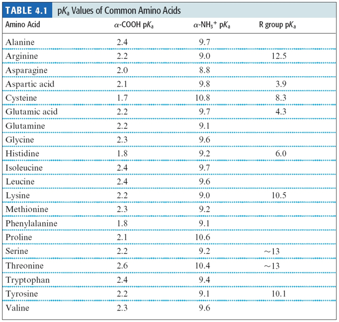 TABLE 4.1 pk, Values of Common Amino Acids
Amino Acid
a-COOH pka
Alanine
Arginine
Asparagine
Aspartic acid
Cysteine
Glutamic acid
Glutamine
Glycine
Histidine
Isoleucine
Leucine
Lysine
Methionine
Phenylalanine
Proline
Serine
Threonine
Tryptophan
Tyrosine
Valine
2.4
2.2
2.0
2.1
1.7
2.2
2.2
2.3
1.8
2.4
2.4
2.2
2.3
1.8
2.1
2.2
2.6
2.4
2.2
2.3
*****************
a-NH3* pKa
9.7
9.0
8.8
9.8
10.8
9.7
9.1
9.6
9.2
9.7
9.6
9.0
9.2
9.1
10.6
9.2
10.4
9.4
9.1
9.6
R group pKa
12.5
3.9
8.3
4.3
6.0
10.5
~13
~13
10.1
*************