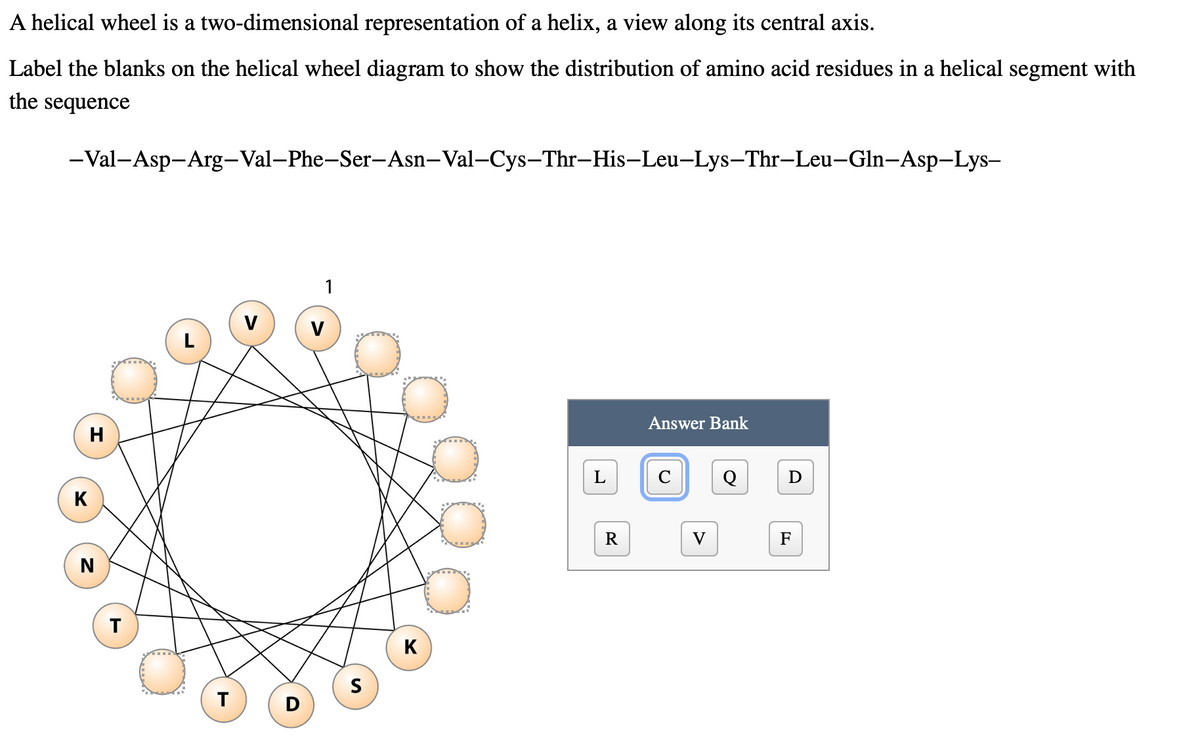 A helical wheel is a two-dimensional representation of a helix, a view along its central axis.
Label the blanks on the helical wheel diagram to show the distribution of amino acid residues in a helical segment with
the sequence
-Val-Asp-Arg-Val-Phe-Ser-Asn-Val-Cys-Thr-His-Leu-Lys–Thr-Leu-Gln-Asp-Lys-
1
Answer Bank
H
L
D
K
R
F
T
K
S
T
