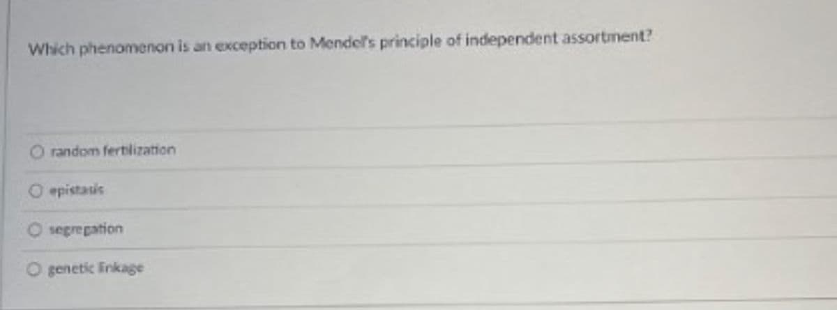 Which phenomenon is an exception to Mendel's principle of independent assortment?
O random fertlization
O epistasic
uogedadas O
O genetic Firkage
