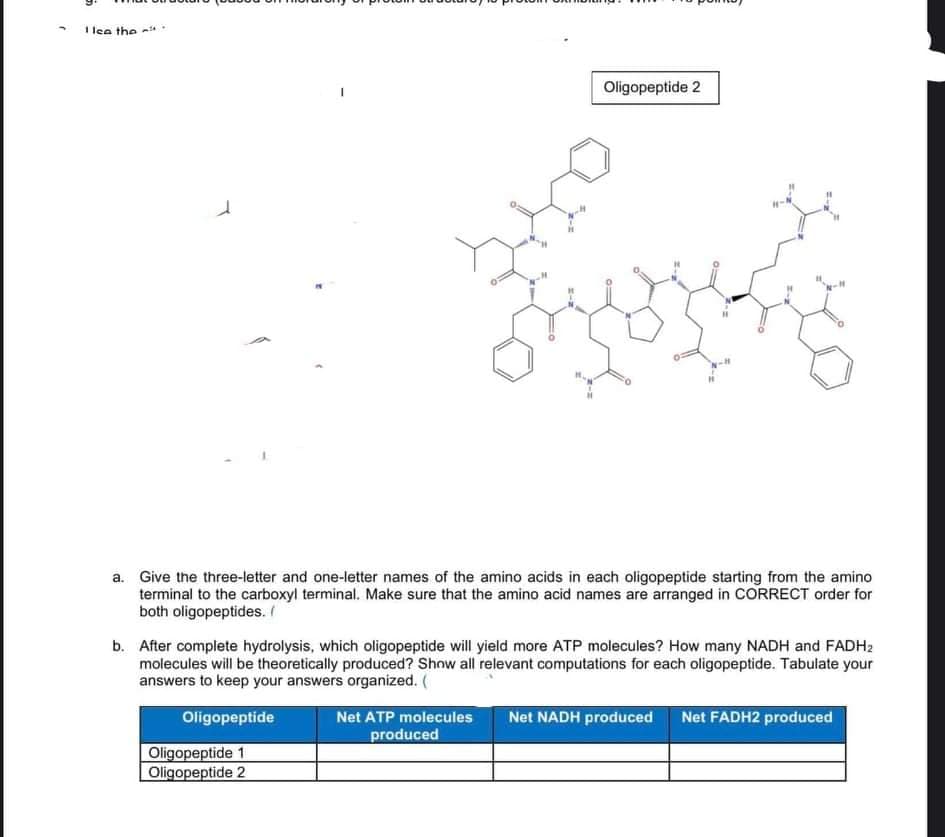 I lea the -
Oligopeptide 2
a. Give the three-letter and one-letter names of the amino acids in each oligopeptide starting from the amino
terminal to the carboxyl terminal. Make sure that the amino acid names are arranged in CORRECT order for
both oligopeptides. I
b. After complete hydrolysis, which oligopeptide will yield more ATP molecules? How many NADH and FADH2
molecules will be theoretically produced? Show all relevant computations for each oligopeptide. Tabulate your
answers to keep your answers organized. (
Oligopeptide
Net ATP molecules
Net NADH produced
Net FADH2 produced
produced
Oligopeptide 1
Oligopeptide 2
