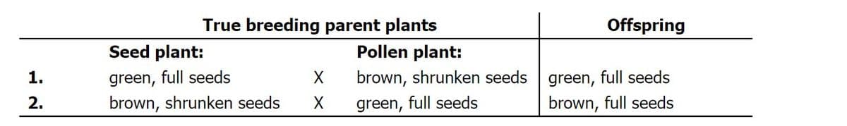 True breeding parent plants
Offspring
Seed plant:
Pollen plant:
1.
green, full seeds
brown, shrunken seeds
green, full seeds
2.
brown, shrunken seeds
green, full seeds
brown, full seeds
