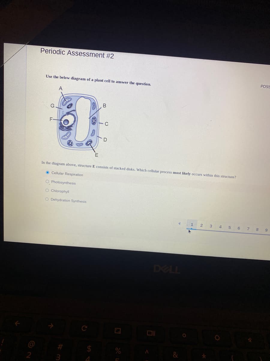 Periodic Assessment #2
Use the below diagram of a plant cell to answer the question.
POS
A
G
F-
In the diagram above, structure E consists of stacked disks. Which cellular process most likely occurs within this structure?
O Cellular Respiration
O Photosynthesis
O Chlorophyll
O Dehydration Synthesis
1.
2 3 4 5 6 7 8
9
DELL
