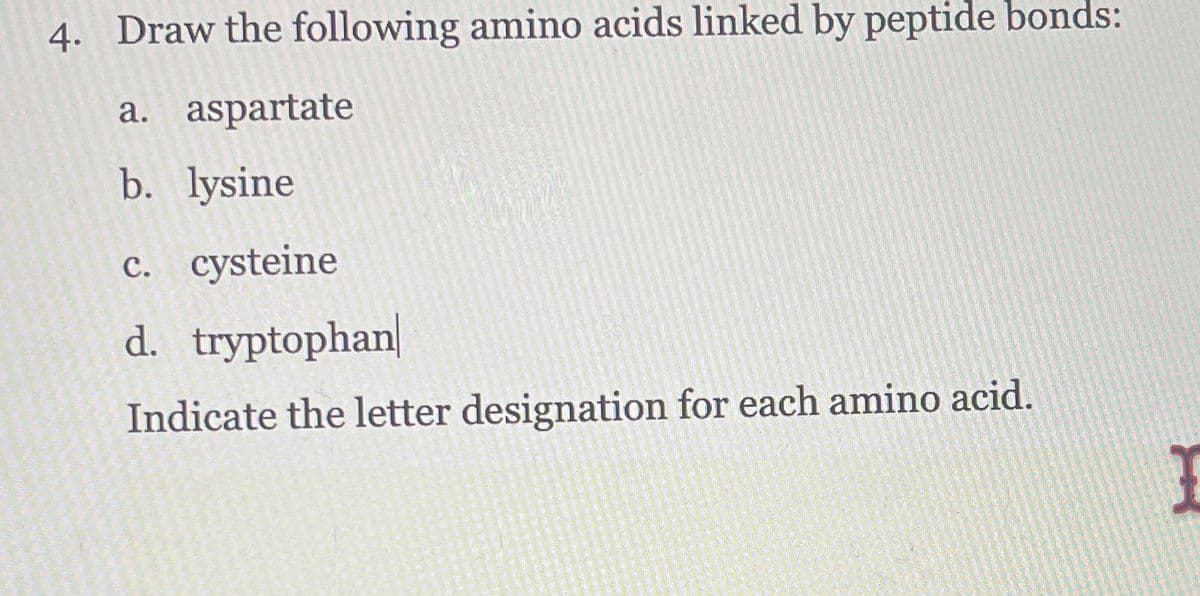 4. Draw the following amino acids linked by peptide bonds:
a. aspartate
b. lysine
c. cysteine
d. tryptophan
Indicate the letter designation for each amino acid.