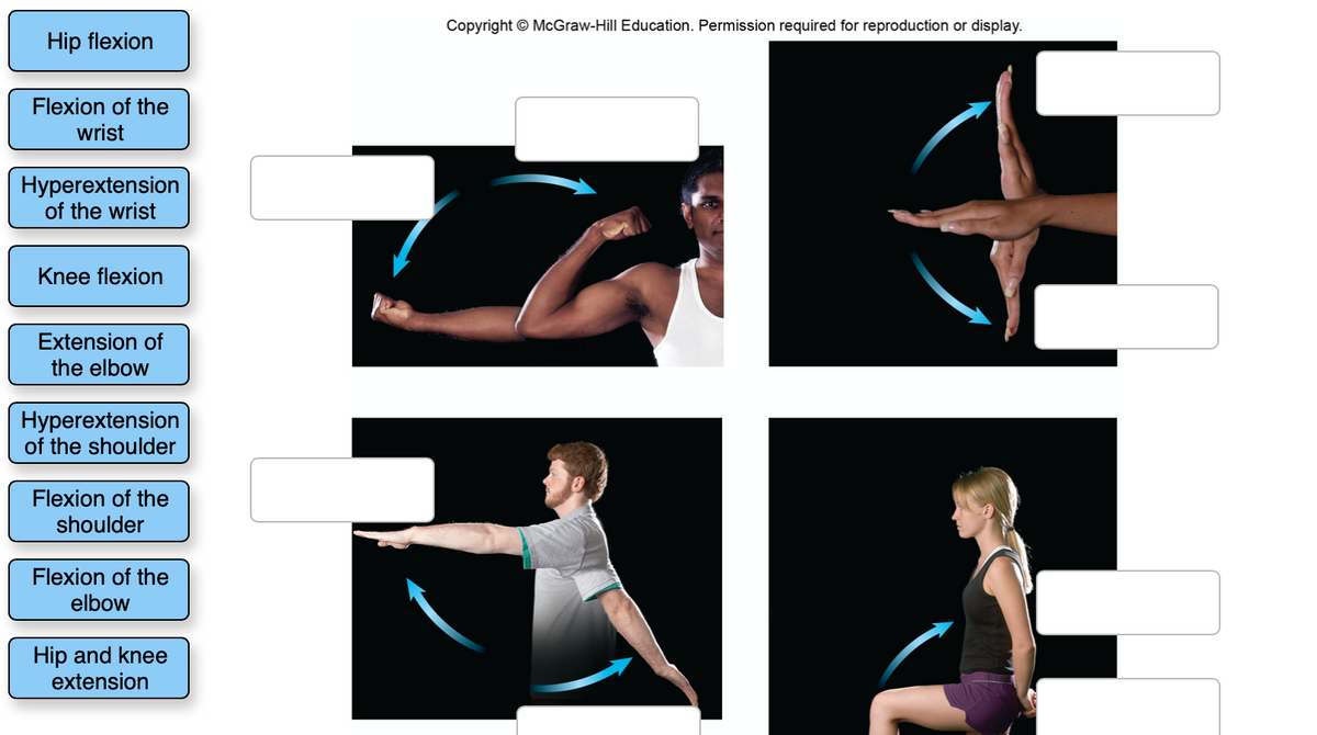 Copyright © McGraw-Hill Education. Permission required for reproduction or display.
Hip flexion
Flexion of the
wrist
Hyperextension
of the wrist
Knee flexion
Extension of
the elbow
Hyperextension
of the shoulder
Flexion of the
shoulder
Flexion of the
elbow
Hip and knee
extension
