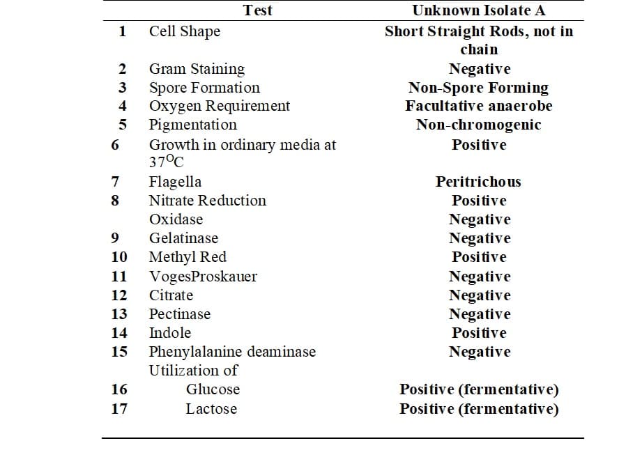 Test
Unknown Isolate A
1
Cell Shape
Short Straight Rods, not in
chain
Gram Staining
Spore Formation
Oxygen Requirement
Pigmentation
Growth in ordinary media at
37°C
Negative
Non-Spore Forming
Facultative anaerobe
3
4
Non-chromogenic
6
Positive
7
Flagella
Peritrichous
8
Nitrate Reduction
Positive
Oxidase
Negative
Negative
9
Gelatinase
Methyl Red
VogesProskauer
10
Positive
11
Negative
Negative
Negative
12
Citrate
13
Pectinase
14
Indole
Positive
Phenylalanine deaminase
Utilization of
15
Negative
Positive (fermentative)
Positive (fermentative)
16
Glucose
17
Lactose
