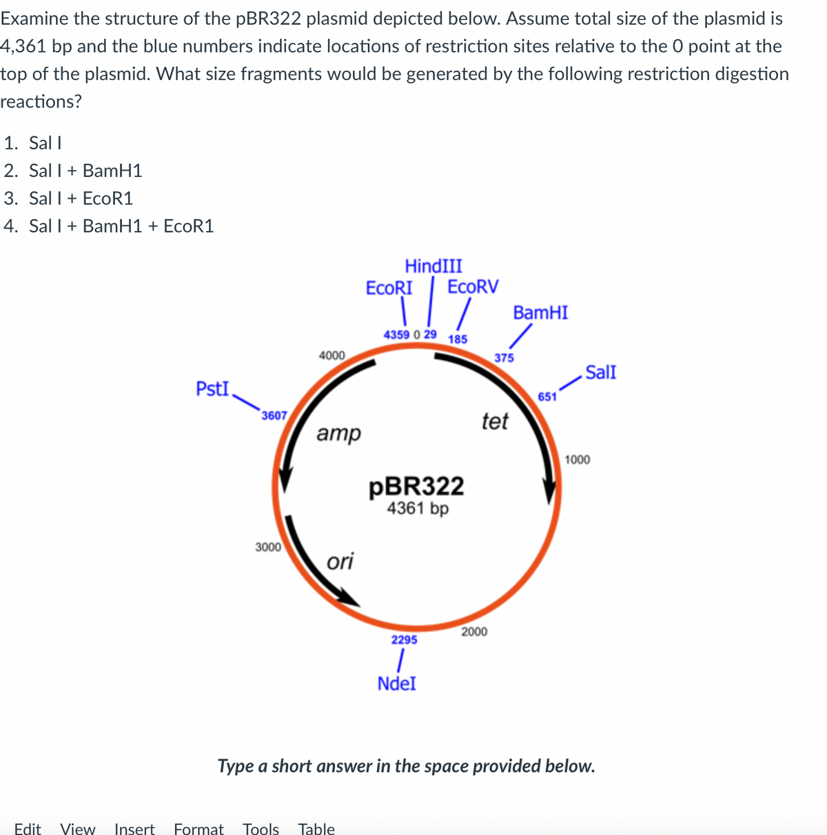 Examine the structure of the pBR322 plasmid depicted below. Assume total size of the plasmid is
4,361 bp and the blue numbers indicate locations of restriction sites relative to the O point at the
top of the plasmid. What size fragments would be generated by the following restriction digestion
reactions?
1. Sall
2. Sal 1 + BamH1
3. Sal 1 + EcoR1
4. Sal I + BamH1 + EcoR1
PstI
3607
3000
4000
amp
ori
HindIII
Edit View Insert Format Tools Table
EcoRI EcoRV
4359 0 29 185
pBR322
4361 bp
2295
NdeI
tet
2000
BamHI
375
651
SalI
1000
Type a short answer in the space provided below.