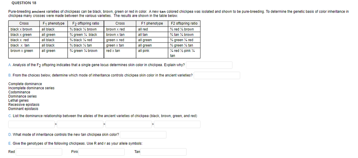 QUESTION 18
Pure-breeding ancient varieties of chickpeas can be black, brown, green or red in color. A new tan colored chickpea was isolated and shown to be pure-breeding. To determine the genetic basis of color inheritance in
chickpea many crosses were made between the various varieties. The results are shown in the table below.
Cross
F1 phenotype
F2 offspring ratio
Cross
F1 phenotype
F2 offspring ratio
black x brown
% black % brown
all black
brown x red
all red
% red % brown
black x green
all green
% green % black
brown x tan
all tan
% tan % brown
black x red
all black
% black % red
green x red
all green
% green % red
black x tan
all black
% black % tan
green x tan
all green
% green % tan
brown x green
all green
% green % brown
red x tan
all pink
% red % pink %.
tan
A. Analysis of the F2 offspring indicates that a single gene locus determines skin color in chickpea. Explain why?
B. From the choices below, determine which mode of inheritance controls chickpea skin color in the ancient varieties?
Complete dominance
Incomplete dominance series
Codominance
Dominance series
Lethal genes
Recessive epistasis
Dominant epistasis
C. List the dominance relationship between the alleles of the ancient varieties of chickpea (black, brown, green, and red)
D. What mode of inheritance controls the new tan chickpea skin color?
E. Give the genotypes of the following chickpeas. Use R and r as your allele symbols:
Red
Pink
Tan
