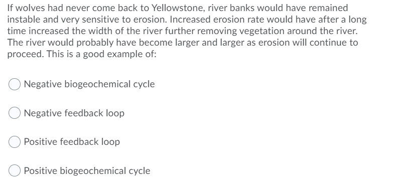 If wolves had never come back to Yellowstone, river banks would have remained
instable and very sensitive to erosion. Increased erosion rate would have after a long
time increased the width of the river further removing vegetation around the river.
The river would probably have become larger and larger as erosion will continue to
proceed. This is a good example of:
Negative biogeochemical cycle
Negative feedback loop
Positive feedback loop
Positive biogeochemical cycle
