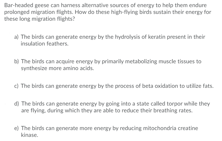 Bar-headed geese can harness alternative sources of energy to help them endure
prolonged migration flights. How do these high-flying birds sustain their energy for
these long migration flights?
a) The birds can generate energy by the hydrolysis of keratin present in their
insulation feathers.
b) The birds can acquire energy by primarily metabolizing muscle tissues to
synthesize more amino acids.
c) The birds can generate energy by the process of beta oxidation to utilize fats.
d) The birds can generate energy by going into a state called torpor while they
are flying, during which they are able to reduce their breathing rates.
e) The birds can generate more energy by reducing mitochondria creatine
kinase.

