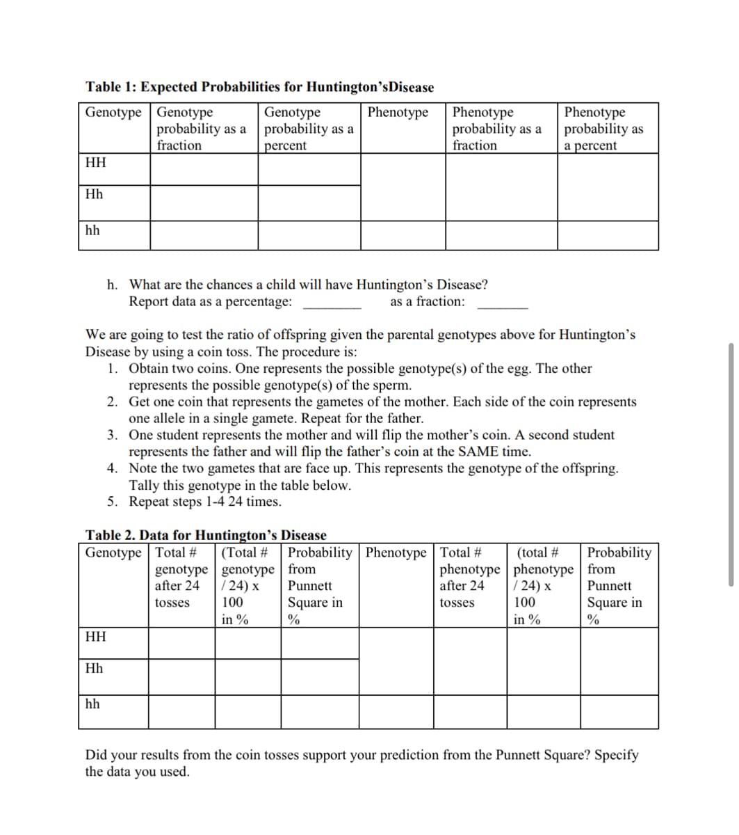 Table 1: Expected Probabilities for Huntington'sDisease
Genotype Genotype
Phenotype
Genotype
probability as a
percent
HH
Hh
hh
probability as a
fraction
Table 2. Data for Huntington's Disease
Genotype Total #
(Total #
HH
Hh
h. What are the chances a child will have Huntington's Disease?
Report data as a percentage:
as a fraction:
We are going to test the ratio of offspring given the parental genotypes above for Huntington's
Disease by using a coin toss. The procedure is:
1. Obtain two coins. One represents the possible genotype(s) of the egg. The other
represents the possible genotype(s) of the sperm.
2. Get one coin that represents the gametes of the mother. Each side of the coin represents
one allele in a single gamete. Repeat for the father.
3. One student represents the mother and will flip the mother's coin. A second student
represents the father and will flip the father's coin at the SAME time.
4. Note the two gametes that are face up. This represents the genotype of the offspring.
Tally this genotype in the table below.
5. Repeat steps 1-4 24 times.
hh
Phenotype
probability as a
fraction
genotype
after 24
tosses
genotype
/24) X
100
in %
Phenotype
probability as
a percent
Probability Phenotype Total #
from
phenotype
after 24
Punnett
Square in
%
tosses
(total #
phenotype
/24) x
100
in %
Probability
from
Punnett
Square in
%
Did your results from the coin tosses support your prediction from the Punnett Square? Specify
the data you used.