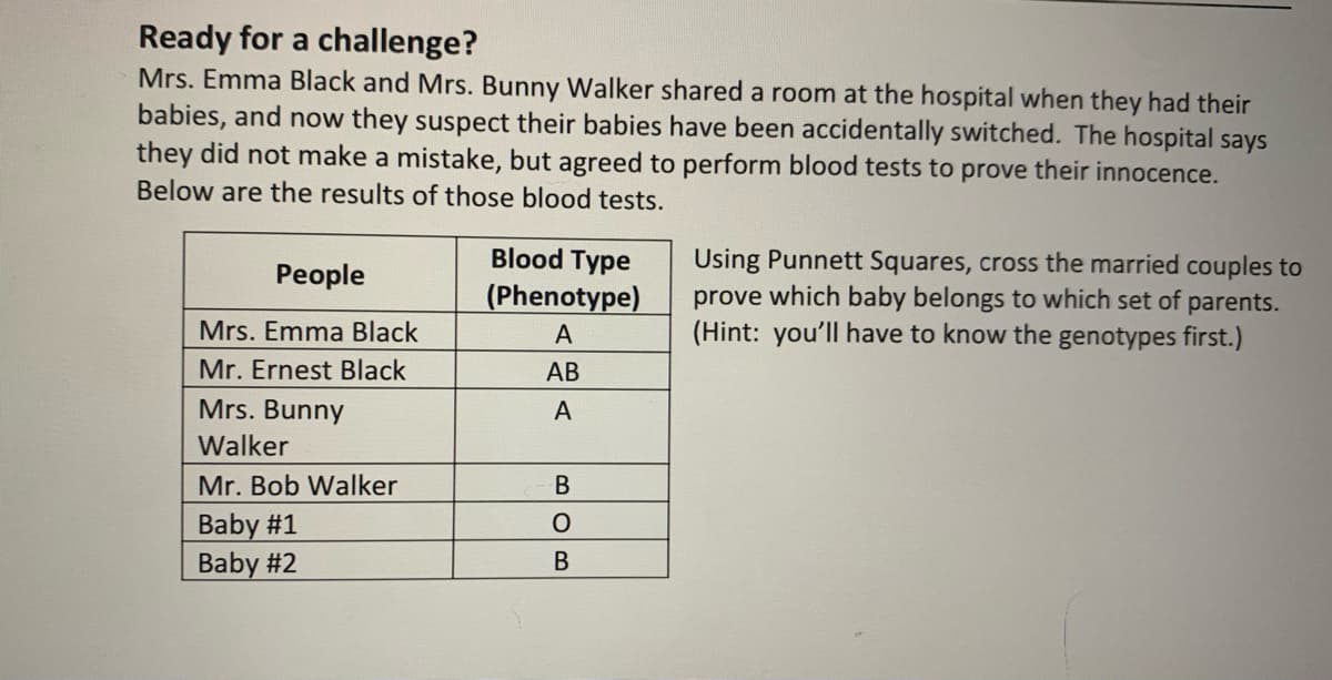 Ready for a challenge?
Mrs. Emma Black and Mrs. Bunny Walker shared a room at the hospital when they had their
babies, and now they suspect their babies have been accidentally switched. The hospital says
they did not make a mistake, but agreed to perform blood tests to prove their innocence.
Below are the results of those blood tests.
Blood Type
Using Punnett Squares, cross the married couples to
prove which baby belongs to which set of parents.
(Hint: you'll have to know the genotypes first.)
People
(Phenotype)
Mrs. Emma Black
A
Mr. Ernest Black
АВ
Mrs. Bunny
A
Walker
Mr. Bob Walker
Baby #1
Baby #2
В
BOB
