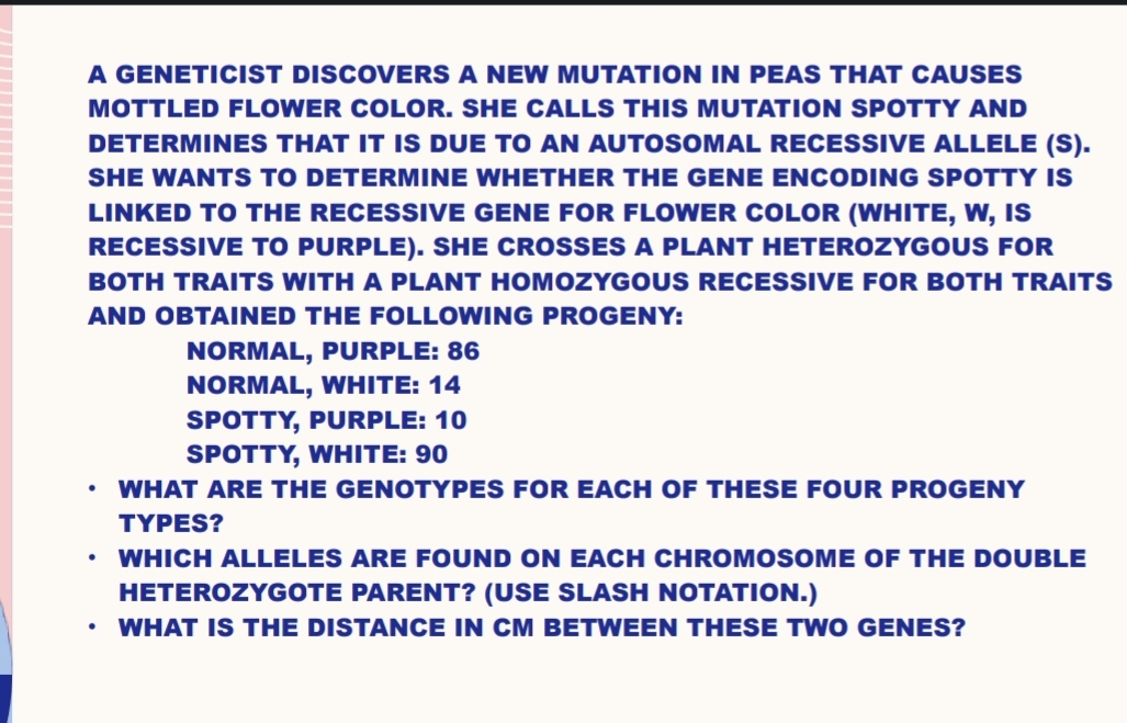 A GENETICIST DISCOVERS A NEW MUTATION IN PEAS THAT CAUSES
MOTTLED FLOWER COLOR. SHE CALLS THIS MUTATION SPOTTY AND
DETERMINES THAT IT IS DUE TO AN AUTOSOMAL RECESSIVE ALLELE (S).
SHE WANTS TO DETERMINE WHETHER THE GENE ENCODING SPOTTY IS
LINKED TO THE RECESSIVE GENE FOR FLOWER COLOR (WHITE, W, IS
RECESSIVE TO PURPLE). SHE CROSSES A PLANT HETEROZYGOUS FOR
BOTH TRAITS WITH A PLANT HOMOZYGOUS RECESSIVE FOR BOTH TRAITS
AND OBTAINED THE FOLLOWING PROGENY:
NORMAL, PURPLE: 86
NORMAL, WHITE: 14
SPOTTY, PURPLE: 10
SPOTTY, WHITE: 90
WHAT ARE THE GENOTYPES FOR EACH OF THESE FOUR PROGENY
TYPES?
WHICH ALLELES ARE FOUND ON EACH CHROMOSOME OF THE DOUBLE
HETEROZYGOTE PARENT? (USE SLASH NOTATION.)
WHAT IS THE DISTANCE IN CM BETWEEN THESE TWO GENES?
.