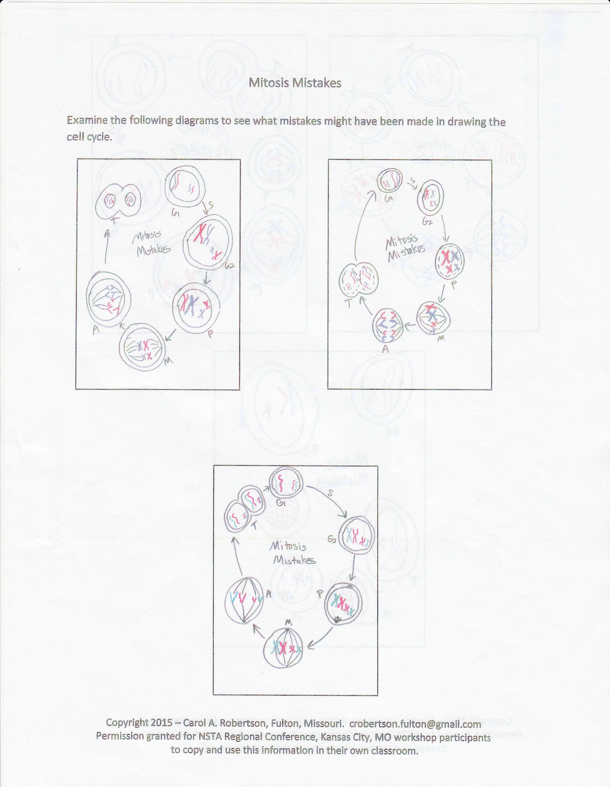 Mitosis Mistakes
Examine the following diagrams to see what mistakes might have been made in drawing the
cell cycle.
Mitosis
Mictakes
62
Mitosis
Mistakes
xx
A
G2
Mitosis
Mistakes
Copyright 2015- Carol A. Robertson, Fulton, Missouri. crobertson.fulton@gmail.com
Permission granted for NSTA Regional Conference, Kansas City, MO workshop participants
to copy and use this information in their own classroom.
%24
