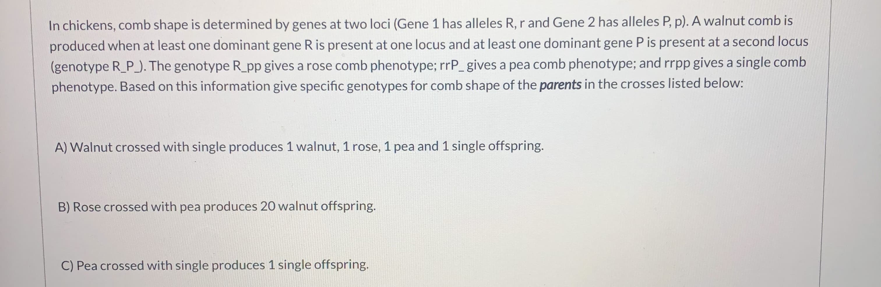 In chickens, comb shape is determined by genes at two loci (Gene 1 has alleles R, r and Gene 2 has alleles P, p). A walnut comb is
produced when at least one dominant gene R is present at one locus and at least one dominant gene P is present at a second locus
(genotype R_P). The genotype R_pp gives a rose comb phenotype; rrP_gives a pea comb phenotype; and rrpp gives a single comb
phenotype. Based on this information give specific genotypes for comb shape of the parents in the crosses listed below:
A) Walnut crossed with single produces 1 walnut, 1 rose, 1 pea and 1 single offspring.
B) Rose crossed with pea produces 20 walnut offspring.
C) Pea crossed with single produces 1 single offspring.
