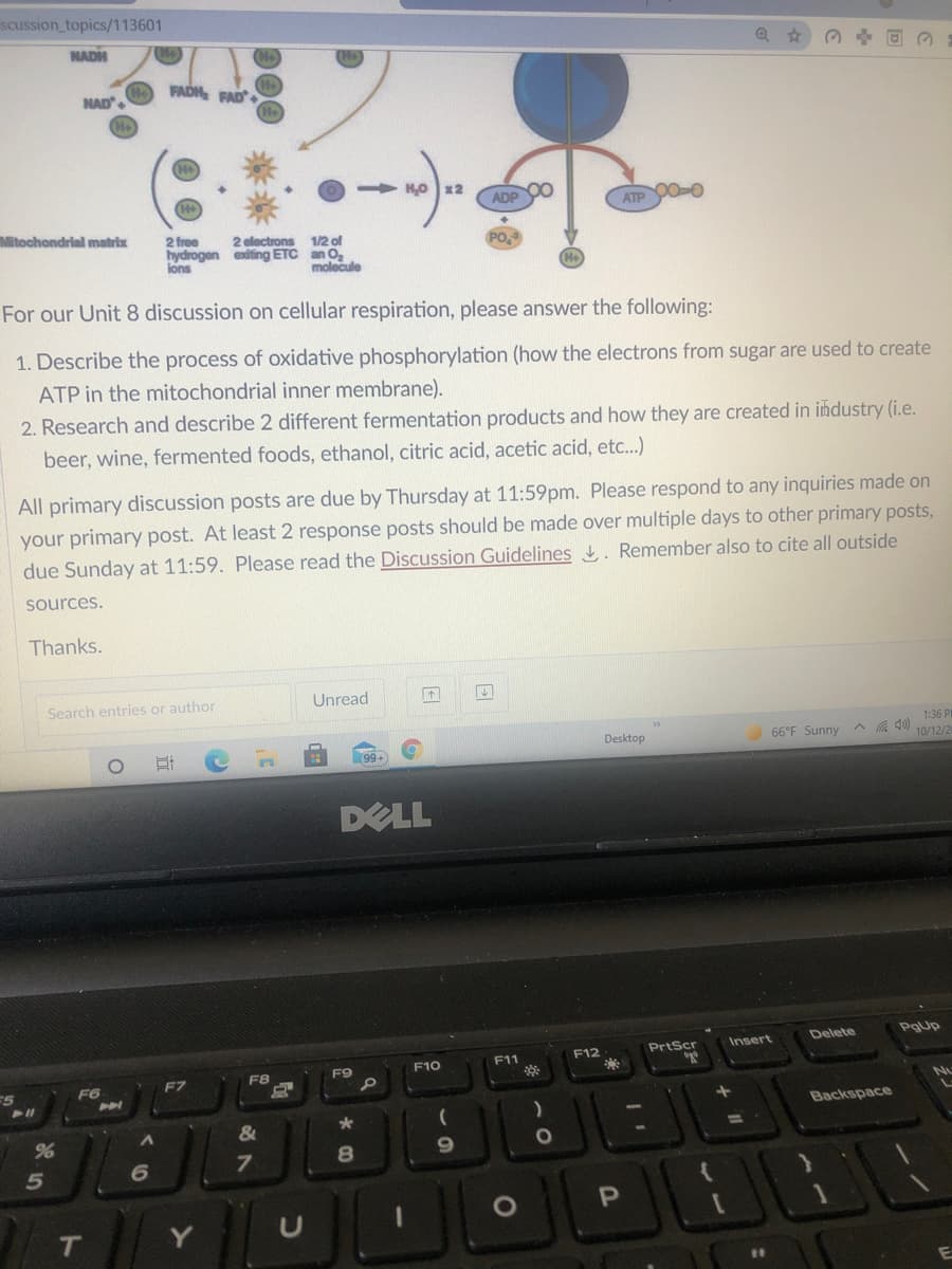 scussion_topics/113601
NADH
FADH FAD
NAD
> H0x2
ADP
ATP 0o
Mitochondrial matrix
2 free
2 electrons
1/2 of
hydrogen exiting ETC an O,
molecule
PO
ions
For our Unit 8 discussion on cellular respiration, please answer the following:
1. Describe the process of oxidative phosphorylation (how the electrons from sugar are used to create
ATP in the mitochondrial inner membrane).
2. Research and describe 2 different fermentation products and how they are created in industry (i.e.
beer, wine, fermented foods, ethanol, citric acid, acetic acid, etc.)
All primary discussion posts are due by Thursday at 11:59pm. Please respond to any inquiries made on
your primary post. At least 2 response posts should be made over multiple days to other primary posts,
due Sunday at 11:59. Please read the Discussion Guidelines . Remember also to cite all outside
sources.
Thanks.
Search entries or author
Unread
66°F Sunny ^ G 0)
1:36 PI
10/12/2
Desktop
DELL
Delete
PgUp
PrtScr
Insert
F11
**
F12
**
F9
F10
F7
F8
F5
F6
Ni
PAL
Backspace
%3D
9.
7
5
