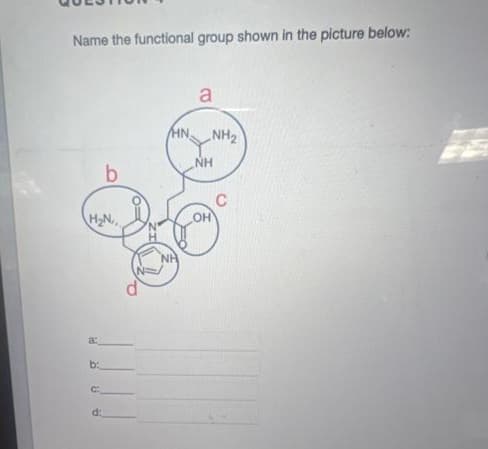 Name the functional group shown in the picture below:
H₂N
a:
b:
8 8
b
d:
a
NH
OH
NH₂