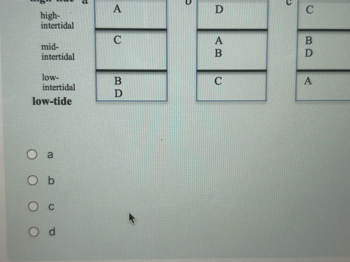 high-
intertidal
mid-
intertidal
low-
intertidal
low-tide
3
B
D
D
A
B
C
C
B
D
A