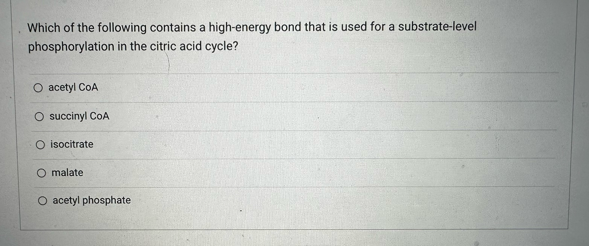 Which of the following contains a high-energy bond that is used for a substrate-level
phosphorylation in the citric acid cycle?
O acetyl COA
O succinyl COA
O isocitrate
O malate
O acetyl phosphate