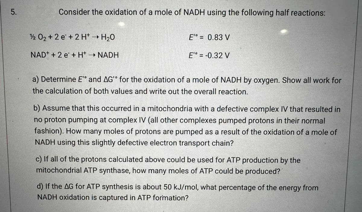 5.
Consider the oxidation of a mole of NADH using the following half reactions:
12 O2 + 2 e + 2 H+ → H₂O
NAD + 2 e + H+ → NADH
E = 0.83 V
E" = -0.32 V
a) Determine E" and AG" for the oxidation of a mole of NADH by oxygen. Show all work for
the calculation of both values and write out the overall reaction.
b) Assume that this occurred in a mitochondria with a defective complex IV that resulted in
no proton pumping at complex IV (all other complexes pumped protons in their normal
fashion). How many moles of protons are pumped as a result of the oxidation of a mole of
NADH using this slightly defective electron transport chain?
c) If all of the protons calculated above could be used for ATP production by the
mitochondrial ATP synthase, how many moles of ATP could be produced?
d) If the AG for ATP synthesis is about 50 kJ/mol, what percentage of the energy from
NADH oxidation is captured in ATP formation?