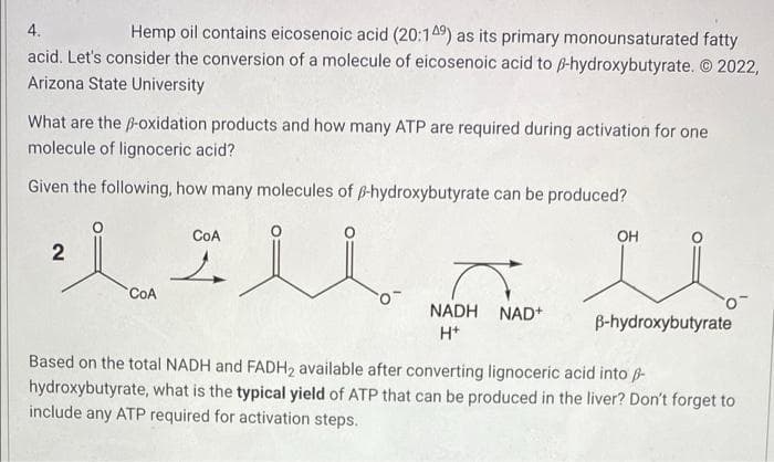 Hemp oil contains eicosenoic acid (20:149) as its primary monounsaturated fatty
acid. Let's consider the conversion of a molecule of eicosenoic acid to B-hydroxybutyrate. 2022,
4.
Arizona State University
What are the f-oxidation products and how many ATP are required during activation for one
molecule of lignoceric acid?
Given the following, how many molecules of 6-hydroxybutyrate can be produced?
COA
OH
COA
NADH
NAD+
B-hydroxybutyrate
H*
Based on the total NADH and FADH, available after converting lignoceric acid into ß
hydroxybutyrate, what is the typical yield of ATP that can be produced in the liver? Don't forget to
include any ATP required for activation steps.
