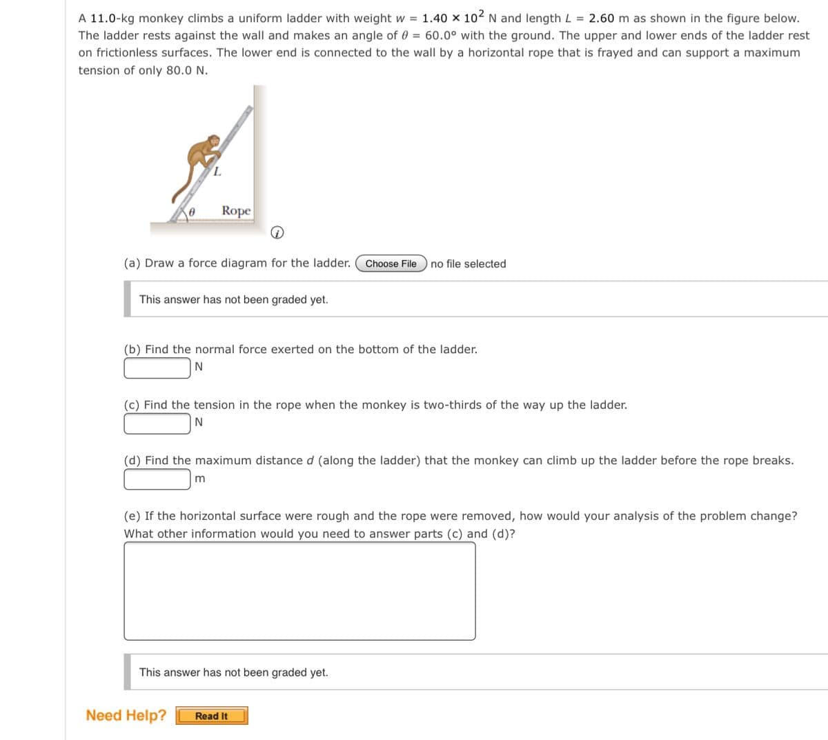 A 11.0-kg monkey climbs a uniform ladder with weight w = 1.40 × 102 N and length L = 2.60 m as shown in the figure below.
The ladder rests against the wall and makes an angle of 0 = 60.0° with the ground. The upper and lower ends of the ladder rest
on frictionless surfaces. The lower end is connected to the wall by a horizontal rope that is frayed and can support a maximum
tension of only 80.0 N.
Rope
(a) Draw a force diagram for the ladder.
Choose File
no file selected
This answer has not been graded yet.
(b) Find the normal force exerted on the bottom of the ladder.
(c) Find the tension in the rope when the monkey is two-thirds of the way up the ladder.
N
(d) Find the maximum distance d (along the ladder) that the monkey can climb up the ladder before the rope breaks.
(e) If the horizontal surface were rough and the rope were removed, how would your analysis of the problem change?
What other information would you need to answer parts (c) and (d)?
This answer has not been graded yet.
Need Help?
Read It
