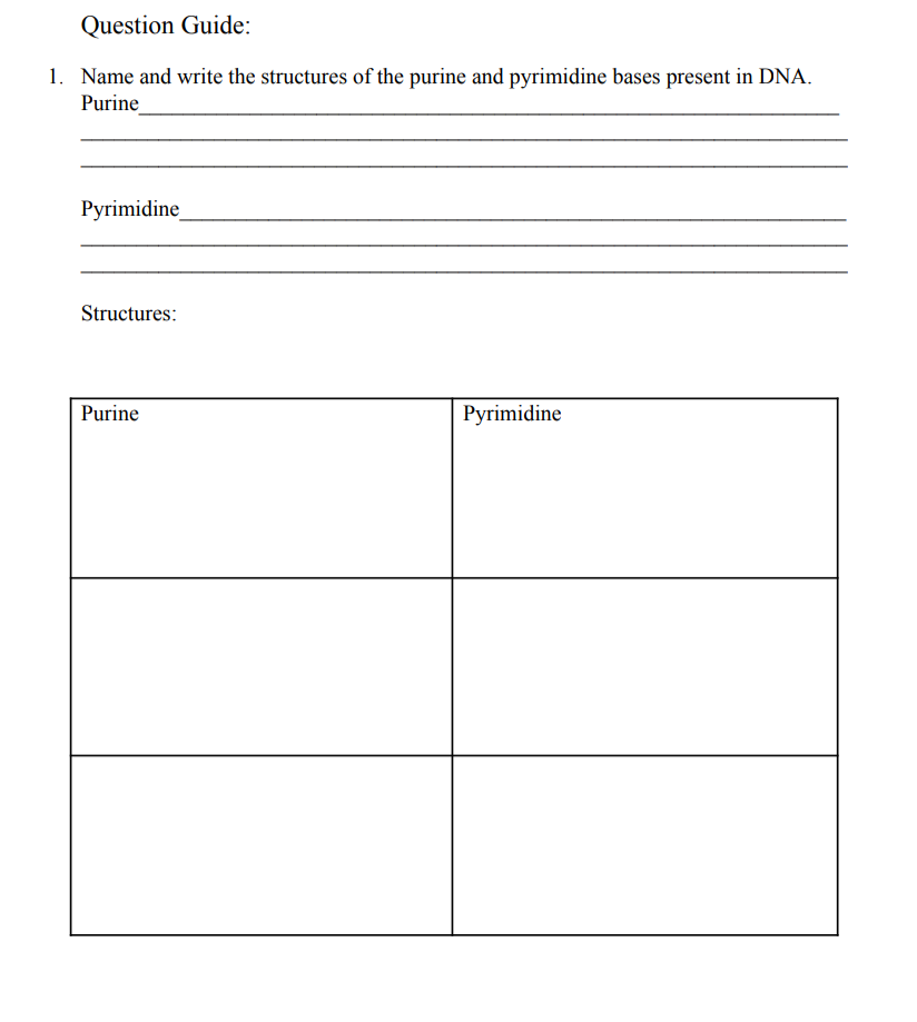 Question Guide:
1. Name and write the structures of the purine and pyrimidine bases present in DNA.
Purine
Рyrimidine
Structures:
Purine
Pyrimidine
