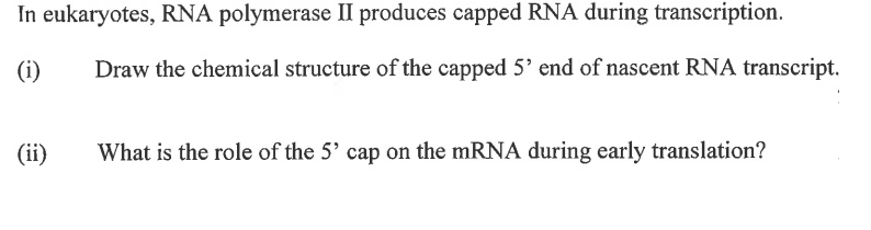 In
(i)
eukaryotes, RNA polymerase II produces capped RNA during transcription.
Draw the chemical structure of the capped 5' end of nascent RNA transcript.
(ii)
What is the role of the 5' cap on the mRNA during early translation?
