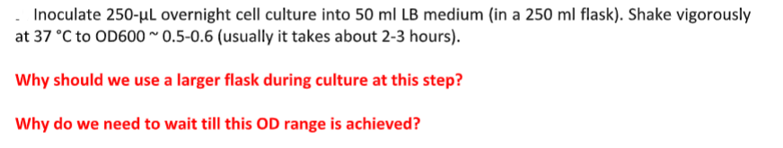 Inoculate 250-µL overnight cell culture into 50 ml LB medium (in a 250 ml flask). Shake vigorously
at 37 °C to OD600~0.5-0.6 (usually it takes about 2-3 hours).
Why should we use a larger flask during culture at this step?
Why do we need to wait till this OD range is achieved?