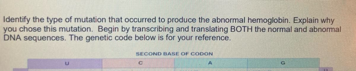 Identify the type of mutation that occurred to produce the abnormal hemoglobin. Explain why
you chose this mutation. Begin by transcribing and translating BOTH the normal and abnormal
DNA sequences. The genetic code below is for your reference.
SECOND BASE OF CODON
