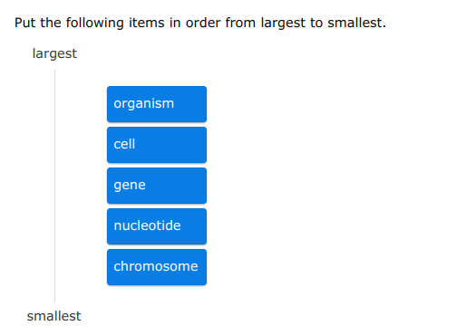 Put the following items in order from largest to smallest.
largest
organism
cell
gene
nucleotide
chromosome
smallest
