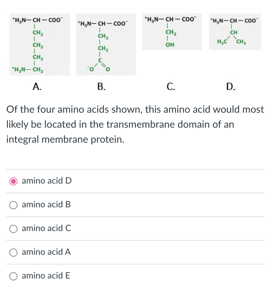 +H₂N-CH-COO™
1
CH₂
I
CH₂
1
CH₂
I
+H₂N-CH₂
A.
amino acid D
O amino acid B
amino acid C
O amino acid A
+H₂N-CH-COO™
1
amino acid E
C=O
B.
Of the four amino acids shown, this amino acid would most
likely be located in the transmembrane domain of an
integral membrane protein.
+H₂N-CH-COO™
1
CH₂
1
OH
C.
+H₂N-CH-COO™
I
CH
H₂C CH₂
D.