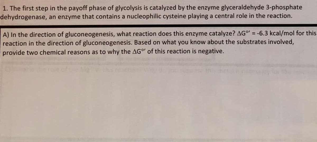1. The first step in the payoff phase of glycolysis is catalyzed by the enzyme glyceraldehyde 3-phosphate
dehydrogenase, an enzyme that contains a nucleophilic cysteine playing a central role in the reaction.
A) In the direction of gluconeogenesis, what reaction does this enzyme catalyze? AG° = -6.3 kcal/mol for this
reaction in the direction of gluconeogenesis. Based on what you know about the substrates involved,
provide two chemical reasons as to why the AGO of this reaction is negative.