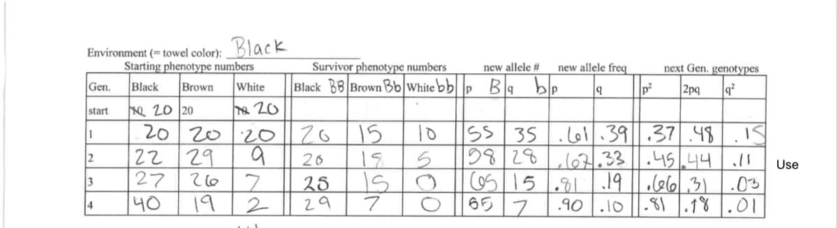 Environment (=towel color):
Gen.
start
1
2
3
4
Black
Starting phenotype numbers
Black
Brown
22 29
27
40
White
18 20
20 20
20 20 20
a
26 7
19
2
Survivor phenotype numbers
new allele # new allele freq
Black BB Brown Bb Whitebbp Babp 9
2015
20
25
29
IS
7
10
5
O
№elo
55 35
5828
65 15
65 2
next Gen. genotypes
p² 2pq q²
.61.39 37.48 IS
67.33.45.44 11 Use
.81.19.66 31.03
.90 .10 .81.18.01