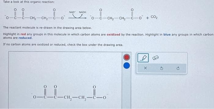 Take a look at this organic reaction:
iiii
CH₂ CH₂ C
с
NAD NADH
CH₂ CH₂
-C-C-CH₂-CH₂-C-
__
+ CO₂
The reactant molecule is re-drawn in the drawing area below.
Highlight in red any groups in this molecule in which carbon atoms are oxidized by the reaction. Highlight in blue any groups in which carbon
atoms are reduced.
If no carbon atoms are oxidized or reduced, check the box under the drawing area.
B
X