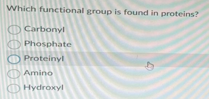 Which functional group is found in proteins?
Carbonyl
Phosphate
Proteinyl
Amino
Hydroxyl