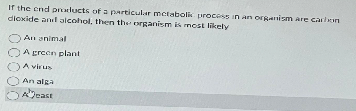 If the end products of a particular metabolic process in an organism are carbon
dioxide and alcohol, then the organism is most likely
An animal
A green plant
A virus
An alga
Sh
Aeast