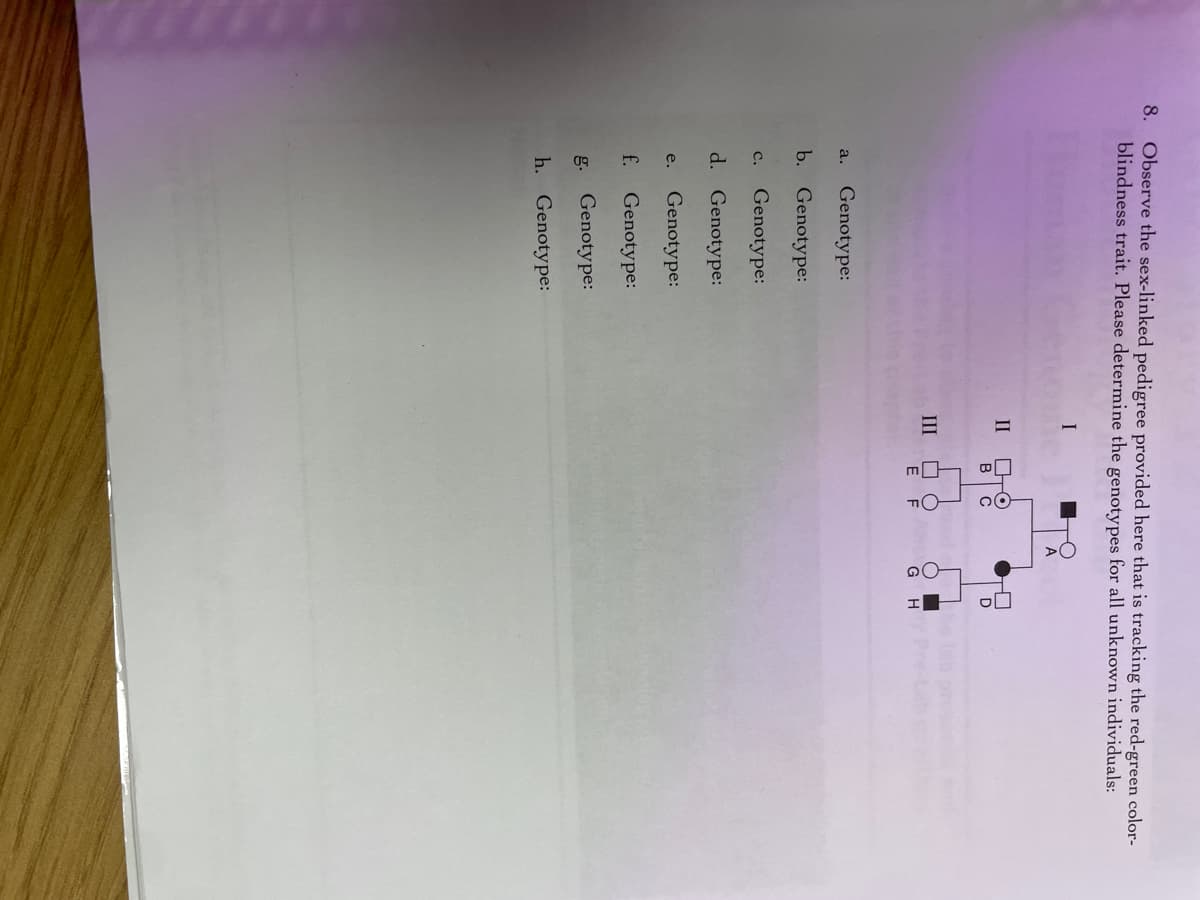 8. Observe the sex-linked pedigree provided here that is tracking the red-green color-
blindness trait. Please determine the genotypes for all unknown individuals:
a. Genotype:
b. Genotype:
C. Genotype:
d. Genotype:
e. Genotype:
f. Genotype:
g. Genotype:
h. Genotype:
I
II
III
B
E
Loo TOL
A
☐º