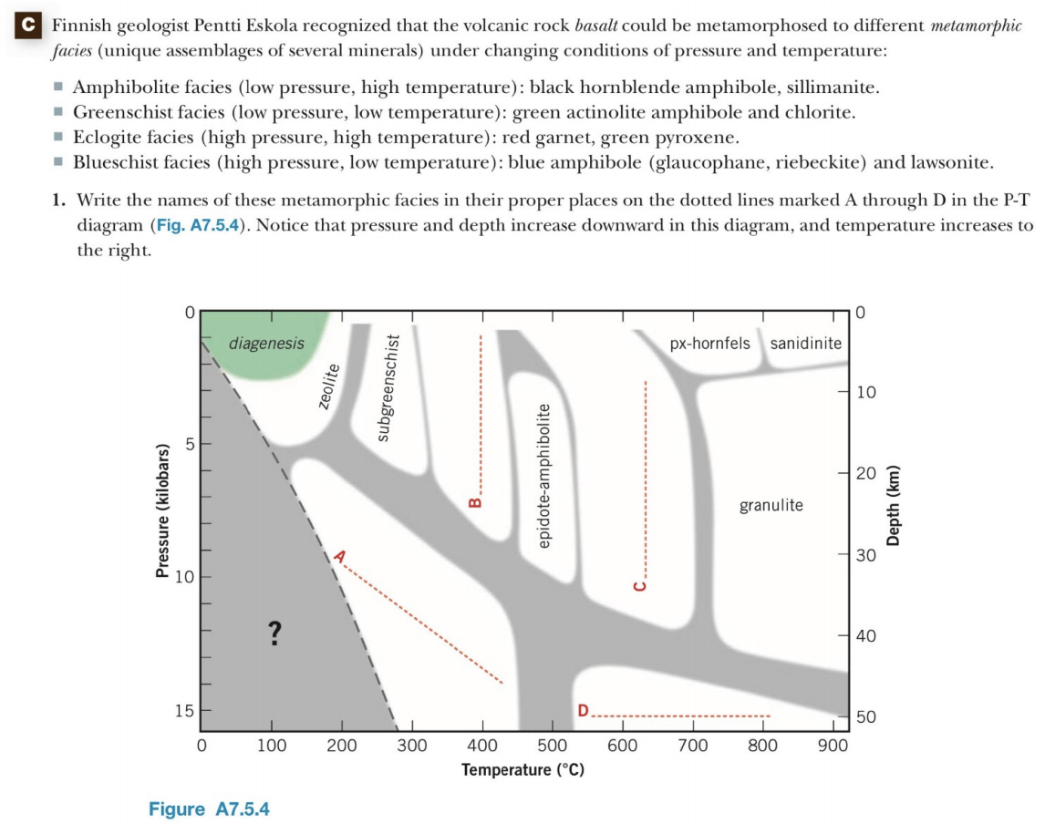 C Finnish geologist Pentti Eskola recognized that the volcanic rock basalt could be metamorphosed to different metamorphic
facies (unique assemblages of several minerals) under changing conditions of pressure and temperature:
" Amphibolite facies (low pressure, high temperature): black hornblende amphibole, sillimanite.
- Greenschist facies (low pressure, low temperature): green actinolite amphibole and chlorite.
· Eclogite facies (high pressure, high temperature): red garnet, green pyroxene.
- Blueschist facies (high pressure, low temperature): blue amphibole (glaucophane, riebeckite) and lawsonite.
1. Write the ames of these metamorphic facies in their proper places on the dotted lines marked A through D in the P-T
diagram (Fig. A7.5.4). Notice that pressure and depth increase downward in this diagram, and temperature increases to
the right.
diagenesis
px-hornfels sanidinite
10
20
granulite
30
my
40
15
50
100
200
300
400
500
600
700
800
900
Temperature (°C)
Figure A7.5.4
Pressure (kilobars)
zeolite
subgreenschist
B.
epidote-amphibolite
Depth (km)
