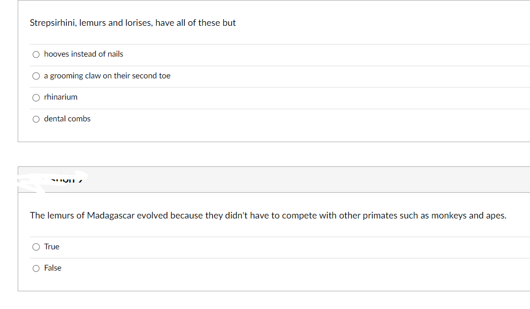 Strepsirhini, lemurs and lorises, have all of these but
O hooves instead of nails
O a grooming claw on their second toe
rhinarium
O dental combs
SUVIL
The lemurs of Madagascar evolved because they didn't have to compete with other primates such as monkeys and apes.
O True
O False