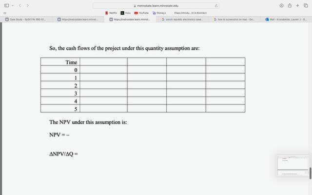 <>
C
So, the cash flows of the project under this quantity assumption are:
Time
0
1
2
3
4
5
The NPV under this assumption is:
NPV=-
ANPV/AQ=