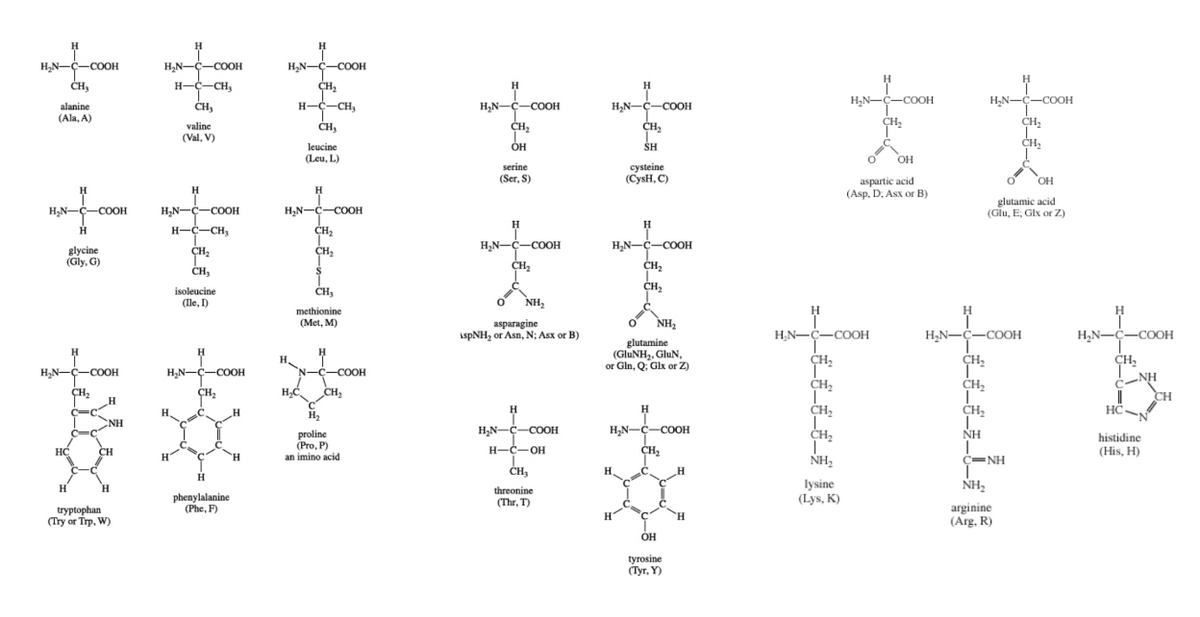 to to fix1
排排
时时
富有
HN—C–COOH
aspartic acid
(Asp, D, Asx or B)
___!
glutamic acid
H₂N-C-COOH
histidine
(His, H)
