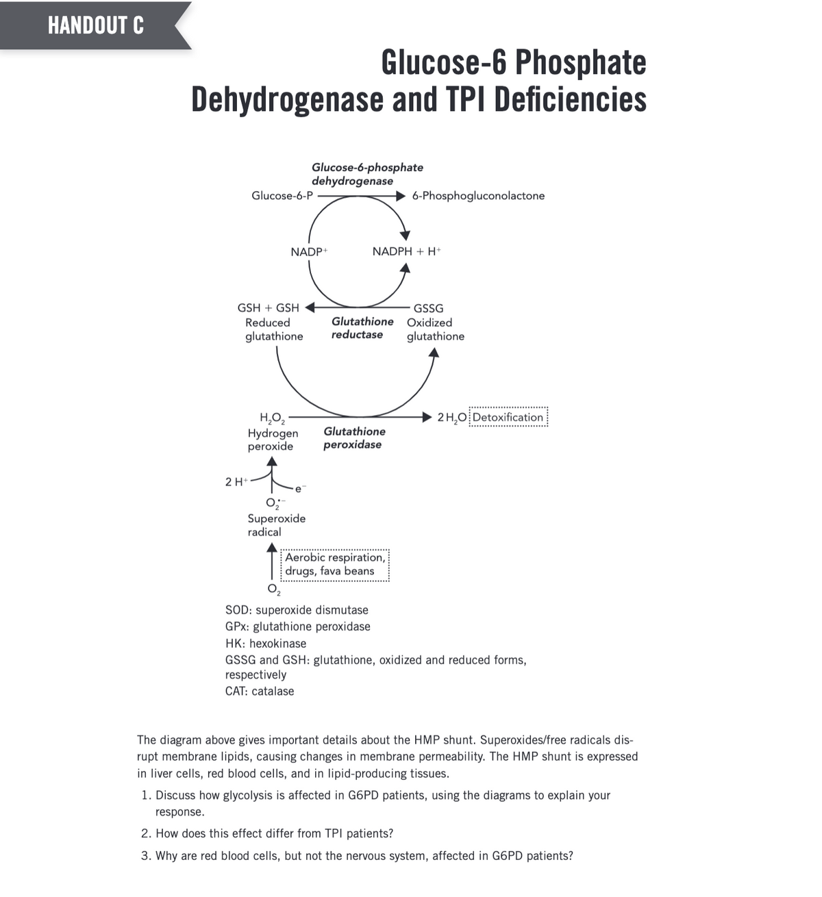 HANDOUT C
Glucose-6 Phosphate
Dehydrogenase and TPI Deficiencies
Glucose-6-P
GSH + GSH
Reduced
glutathione
2 H+
NADP+
H₂O₂
Hydrogen
peroxide
Glucose-6-phosphate
dehydrogenase
Superoxide
radical
NADPH + H+
6-Phosphogluconolactone
GSSG
Glutathione Oxidized
reductase
Glutathione
peroxidase
Aerobic respiration,
drugs, fava beans
glutathione
2 H₂O Detoxification
SOD: superoxide dismutase
GPx: glutathione peroxidase
HK: hexokinase
GSSG and GSH: glutathione, oxidized and reduced forms,
respectively
CAT: catalase
The diagram above gives important details about the HMP shunt. Superoxides/free radicals dis-
rupt membrane lipids, causing changes in membrane permeability. The HMP shunt is expressed
in liver cells, red blood cells, and in lipid-producing tissues.
1. Discuss how glycolysis is affected in G6PD patients, using the diagrams to explain your
response.
2. How does this effect differ from TPI patients?
3. Why are red blood cells, but not the nervous system, affected in G6PD patients?