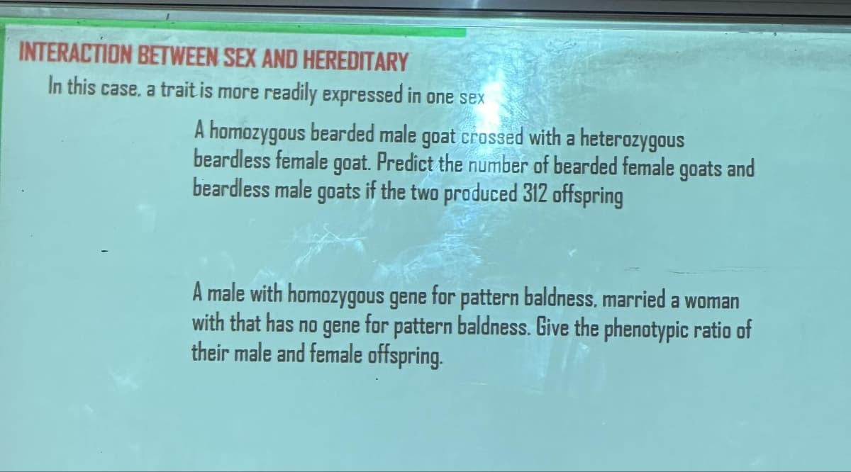 INTERACTION BETWEEN SEX AND HEREDITARY
In this case, a trait is more readily expressed in one sex
A homozygous bearded male goat crossed with a heterozygous
beardless female goat. Predict the number of bearded female goats and
beardless male goats if the two produced 312 offspring
A male with homozygous gene for pattern baldness, married a woman
with that has no gene for pattern baldness. Give the phenotypic ratio of
their male and female offspring.